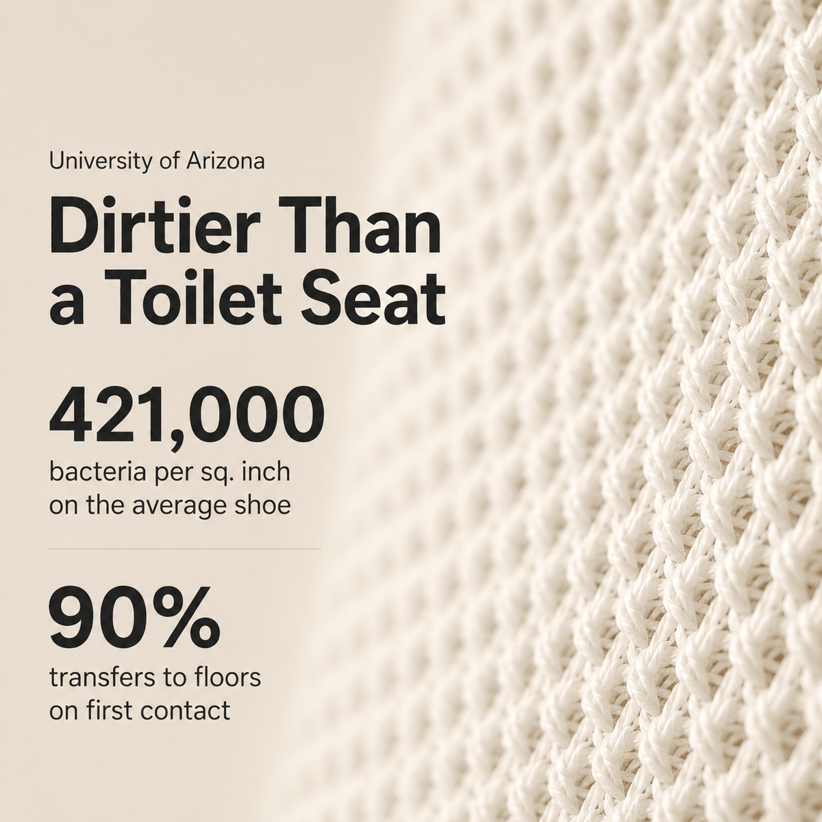 Shoe Care Made Simple - KickSafe